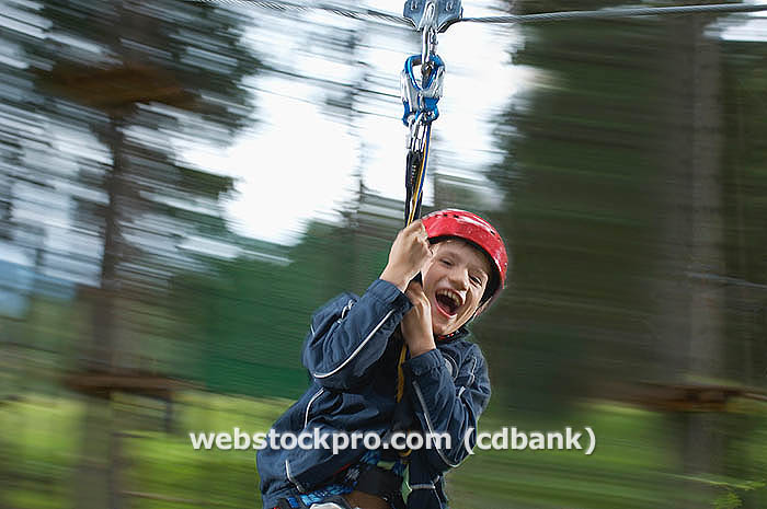 zipline in a forest