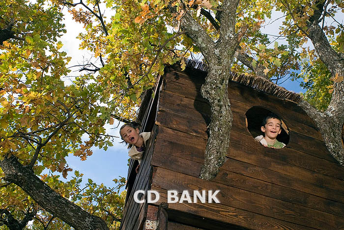 lb000207 kids in a tree house