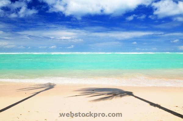 Tropical beach with palm shadow stock photo