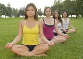 Four Women Doing Yoga In A Park Photo (1869599)