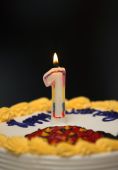 A Birthday Cake With Lit Candle Photo (1803817)